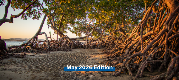 Newsletter Banner May 2026