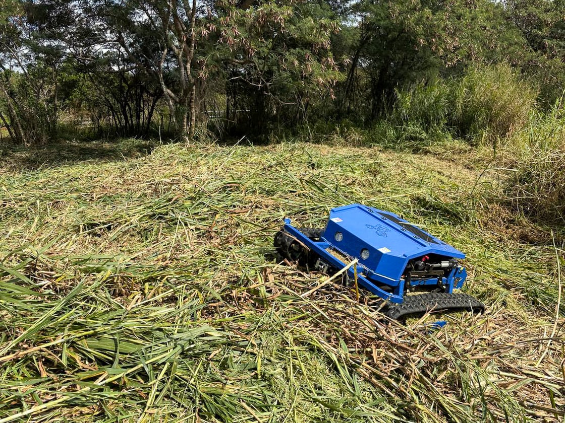 Hybrid mower