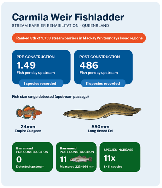 RCL_Carmilla-Weir-Infographic-1