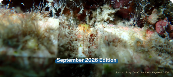 RCL_Newsletter Banner September 2026-3