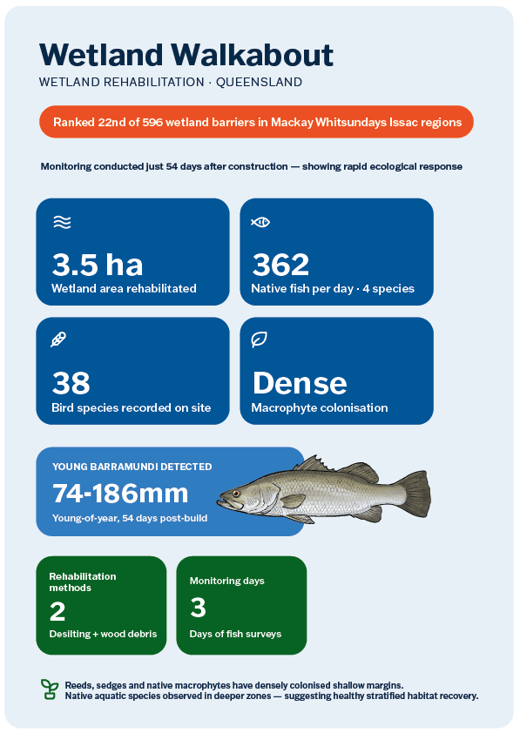 RCL_Wetland-Walkabout-Infographic-1